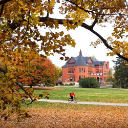 view of campus in the fall